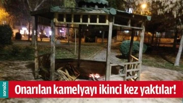 ONARILAN KAMELYAYI İKİNCİ KEZ YAKTILAR!