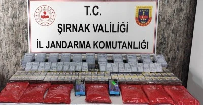 Operasyonlarında 22 kişi hakkında işlem yapıldı