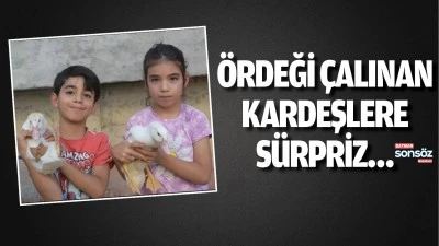 &Ouml;rdeği &ccedil;alınan kardeşlere s&uuml;rpriz&hellip;