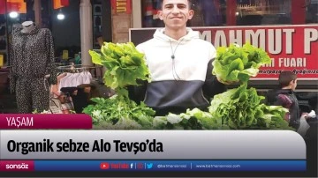 Organik sebze Alo Tevşo&rsquo;da