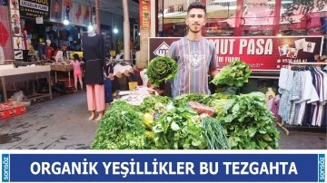 Organik yeşillikler bu tezgahta