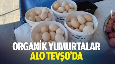 Organik yumurtalar Alo Tevşo'da