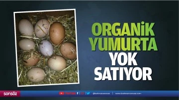 Organik yumurtaya yok satıyor