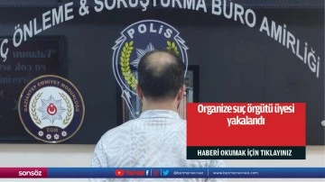 Organize su&ccedil; &ouml;rg&uuml;t&uuml; &uuml;yesi yakalandı