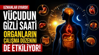 V&uuml;cudun Biyolojik Saati Sağlığı Doğrudan Etkiliyor