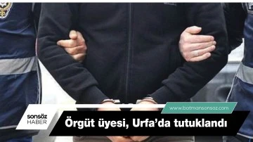 &Ouml;rg&uuml;t &uuml;yesi, Urfa&rsquo;da tutuklandı