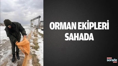 Orman Ekipleri sahada