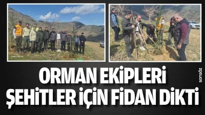 Orman Ekipleri, şehitler i&ccedil;in fidan dikti