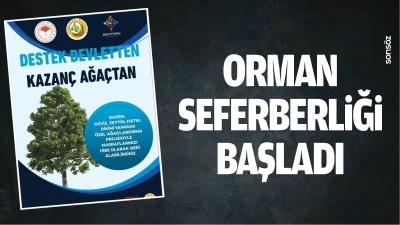Orman seferberliği başladı