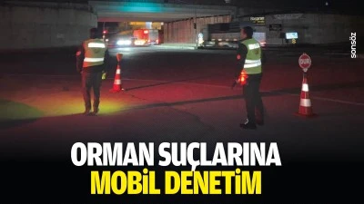Orman su&ccedil;larına mobil denetim