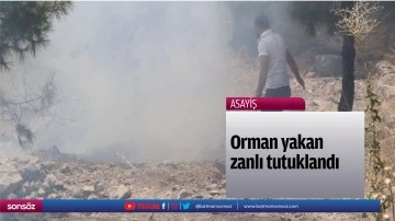 Orman yakan zanlı tutuklandı