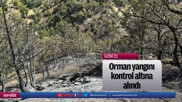 Orman yangını kontrol altına alındı