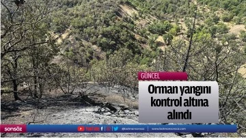 Orman yangını kontrol altına alındı