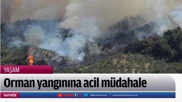 Orman yangınına acil m&uuml;dahale