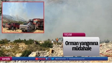 Orman yangınına m&uuml;dahale 