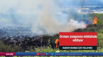 Orman yangınına m&uuml;dahale ediliyor