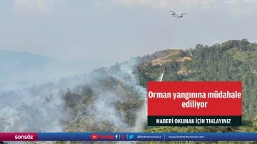 Orman yangınına m&uuml;dahale ediliyor