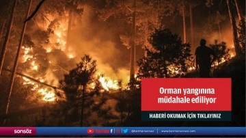 Orman yangınına  m&uuml;dahale ediliyor 