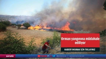 Orman yangınına m&uuml;dahale ediliyor