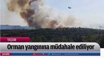 Orman yangınına m&uuml;dahale ediliyor