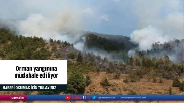 Orman yangınına  m&uuml;dahale ediliyor