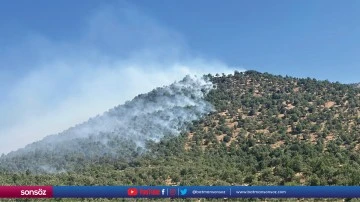 Orman yangınına m&uuml;dahale ediliyor