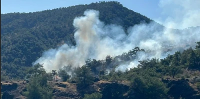 Orman yangınında 1 hektar alan zarar g&ouml;rd&uuml;