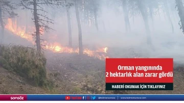  Orman yangınında 2 hektarlık alan zarar g&ouml;rd&uuml;