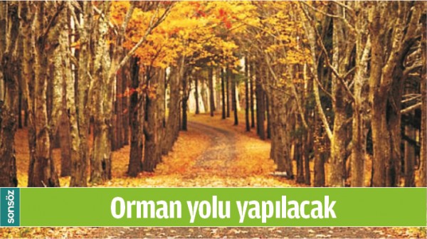 ORMAN YOLU YAPILACAK