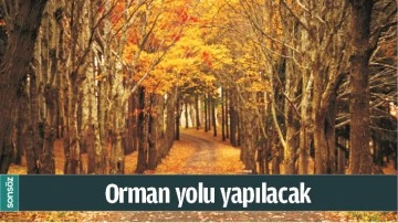 ORMAN YOLU YAPILACAK