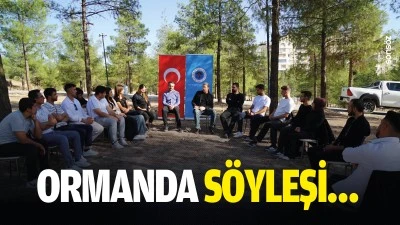 Ormanda s&ouml;yleşi&hellip;