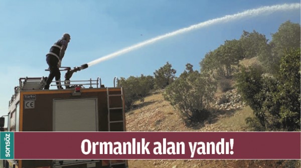 ORMANLIK ALAN YANDI!