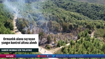 Ormanlık alana sı&ccedil;rayan yangın kontrol altına alındı