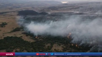 Ormanlık alanda &ccedil;ıkan yangın kontrol altına alındı