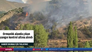 Ormanlık alanda &ccedil;ıkan yangın kontrol altına alındı