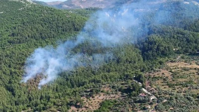 Ormanlık alanda &ccedil;ıkan yangın s&ouml;nd&uuml;r&uuml;ld&uuml;