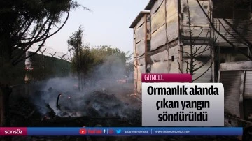 Ormanlık alanda &ccedil;ıkan yangın s&ouml;nd&uuml;r&uuml;ld&uuml;