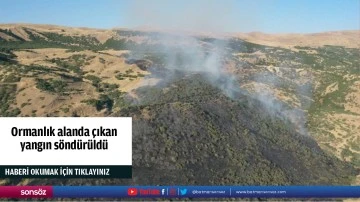 Ormanlık alanda &ccedil;ıkan yangın s&ouml;nd&uuml;r&uuml;ld&uuml;