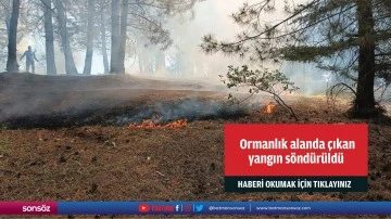  Ormanlık alanda &ccedil;ıkan yangın s&ouml;nd&uuml;r&uuml;ld&uuml;