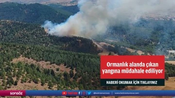 Ormanlık alanda &ccedil;ıkan yangına m&uuml;dahale ediliyor
