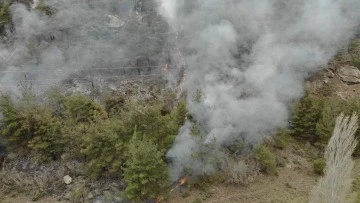 Ormanlık alanda &ccedil;ıkan yangına m&uuml;dahale ediliyor