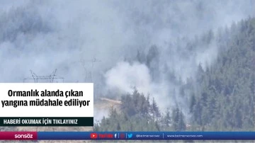 Ormanlık alanda &ccedil;ıkan  yangına m&uuml;dahale ediliyor