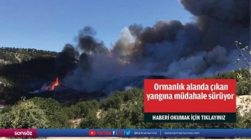  Ormanlık alanda &ccedil;ıkan  yangına m&uuml;dahale s&uuml;r&uuml;yor