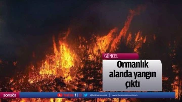Ormanlık alanda yangın &ccedil;ıktı