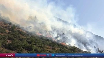 Ormanlık alanda yangın &ccedil;ıktı