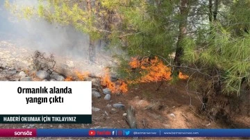Ormanlık alanda yangın &ccedil;ıktı