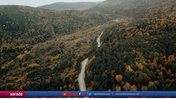 Ormanlık alanlara girişler yasaklandı