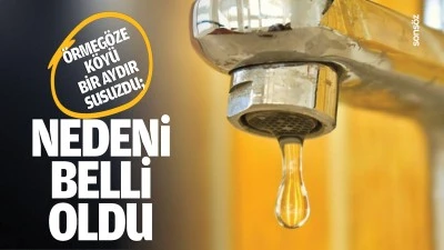 &Ouml;rmeg&ouml;ze K&ouml;y&uuml; bir aydır susuzdu; Nedeni belli oldu
