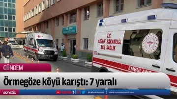 &Ouml;rmeg&ouml;ze k&ouml;y&uuml; karıştı: 7 yaralı