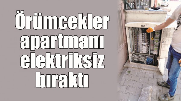 &Ouml;R&Uuml;MCEKLER, APARTMANI ELEKTRİKSİZ BIRAKTI